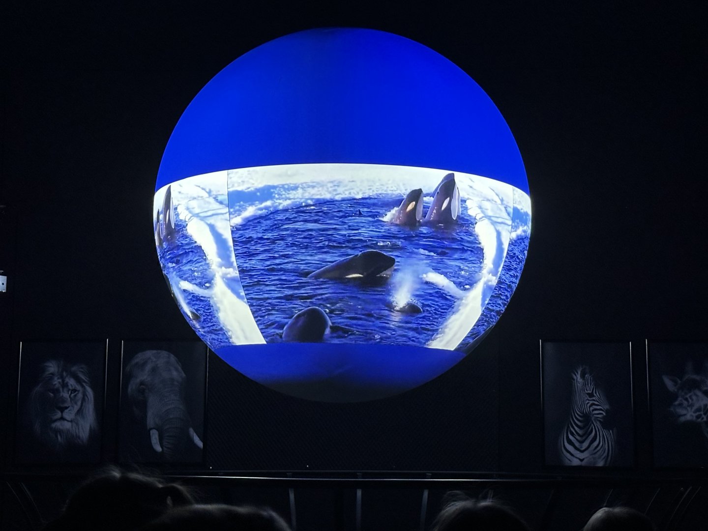 Cesta na Severní pól a ještě dál…