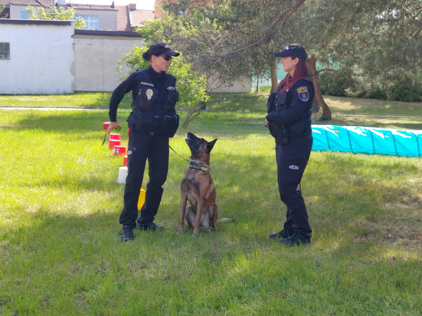 Přehlídka policejního psa