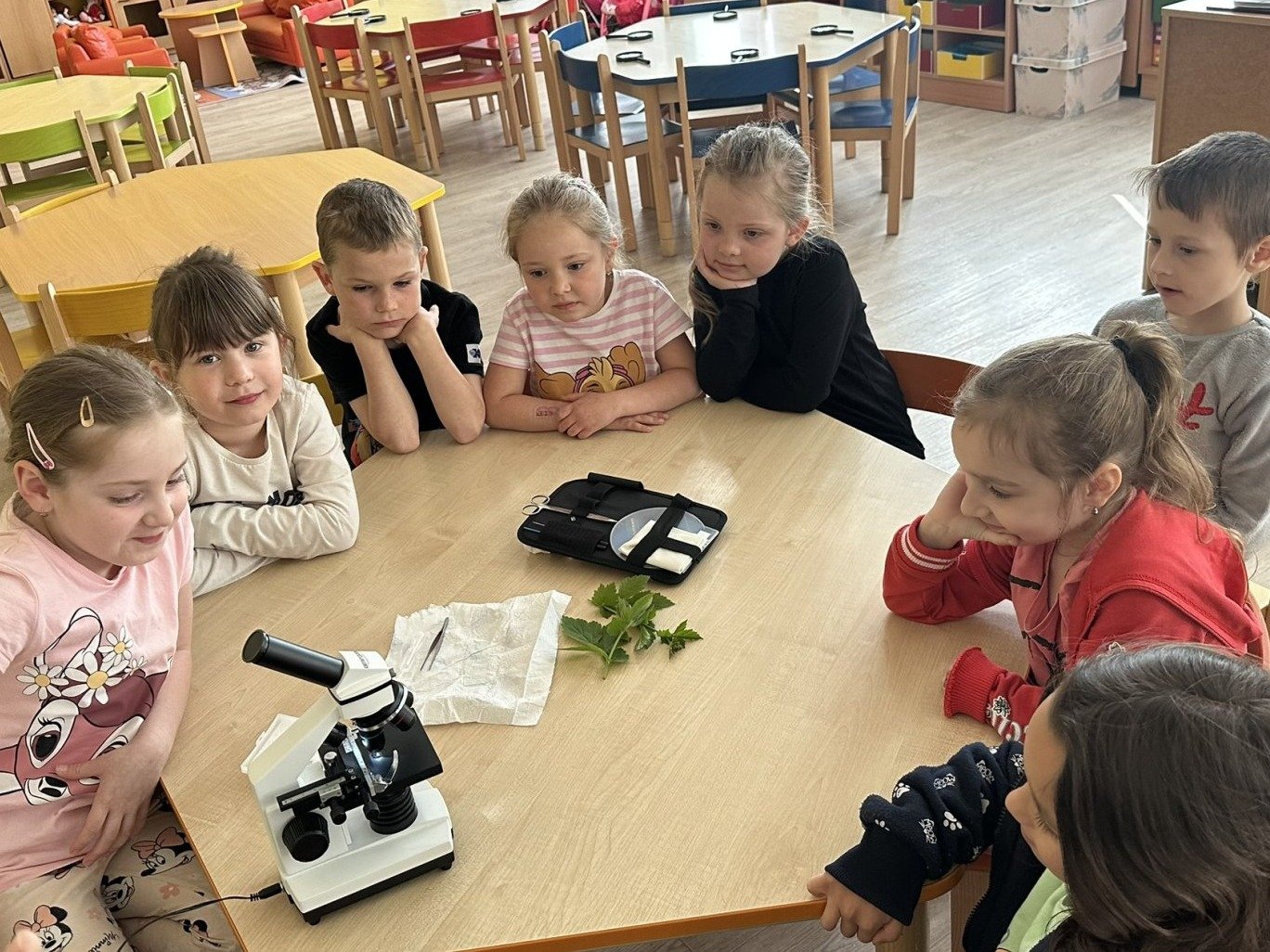 Zábavné pokusy s mikroskopy